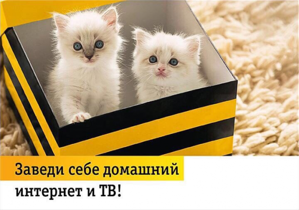Заказать лучший домашний интернет и ТВ Заказать лучший домашний интернет и ТВ