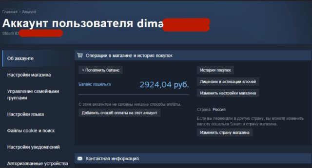 Погружение в нюансы пополнения Steam-кошелька Погружение в нюансы пополнения Steam-кошелька